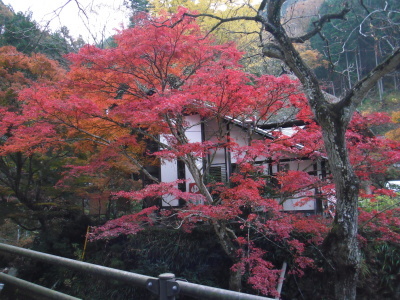c0325468_20452768.jpg