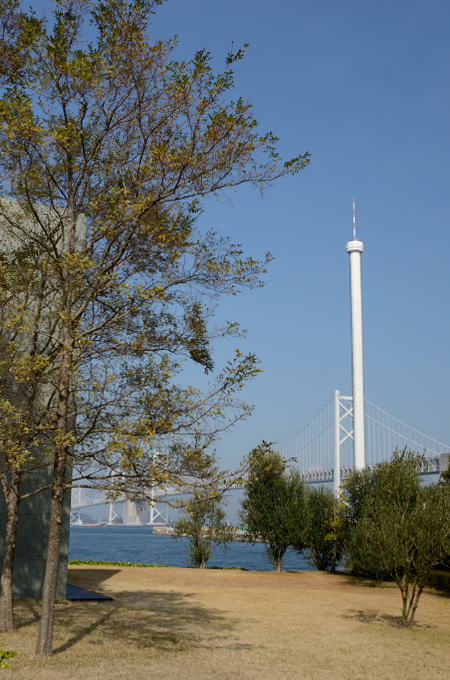 f0065768_17263782.jpg