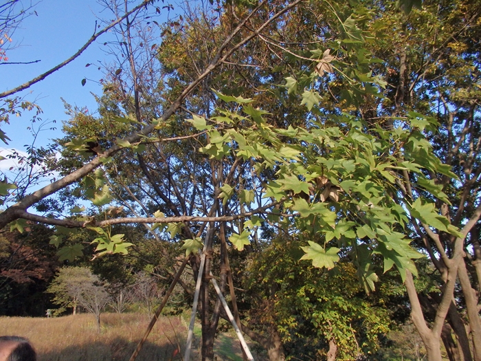 d0031171_9414742.jpg