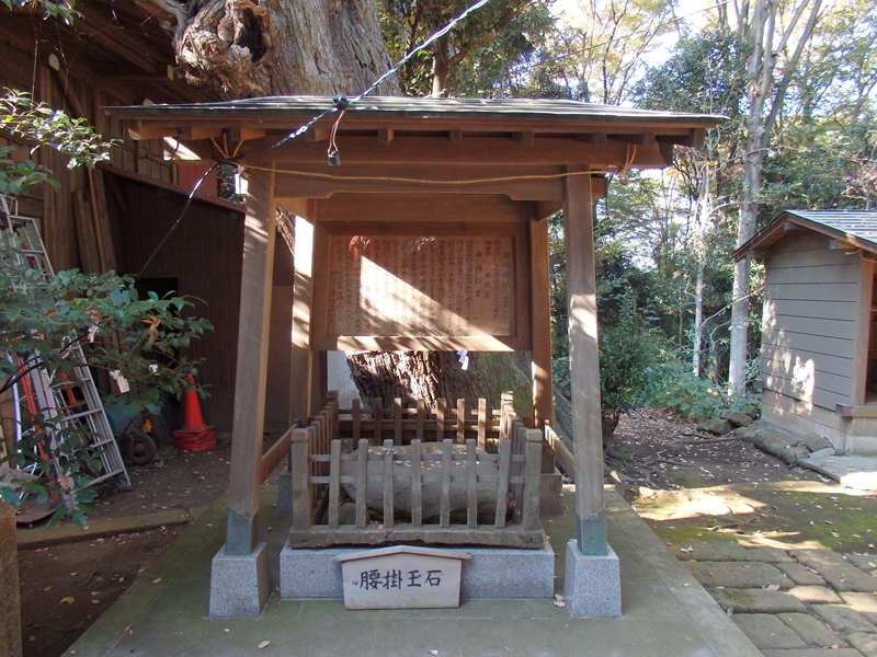 d0031171_991713.jpg