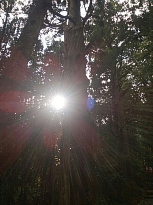 f0152875_08541343.jpg