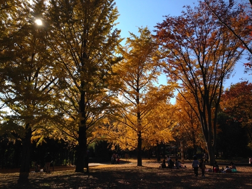 c0023278_10491076.jpg