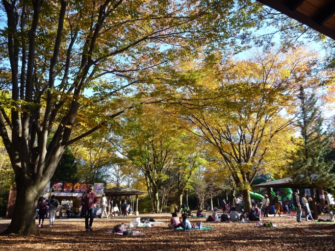 c0023278_1049160.jpg