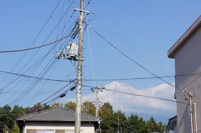 c0163878_1252671.jpg