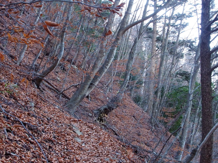 c0197578_22292042.jpg