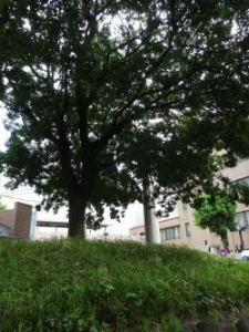 e0292078_1045757.jpg