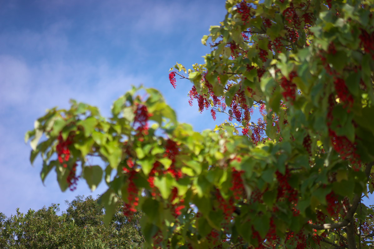 a0083081_1046565.jpg