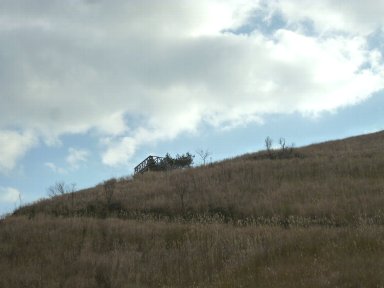 b0075888_12145325.jpg