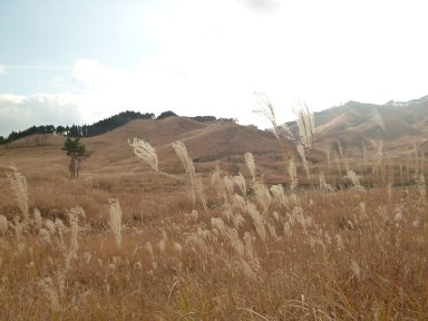 b0075888_124155.jpg