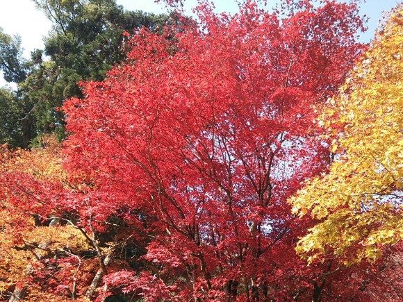 c0204188_0102115.jpg