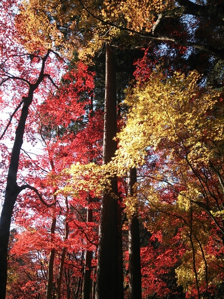 c0204188_0135896.jpg