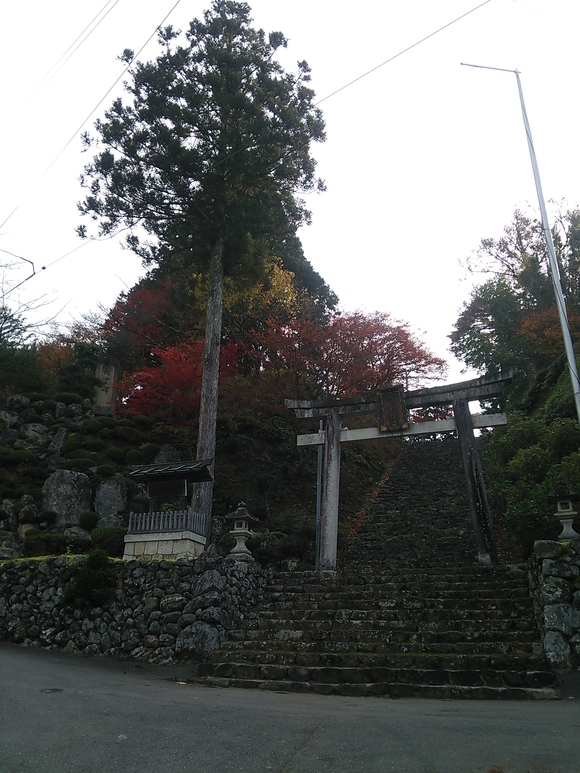 c0204188_751856.jpg