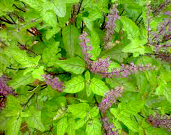 c0242791_13335221.jpg