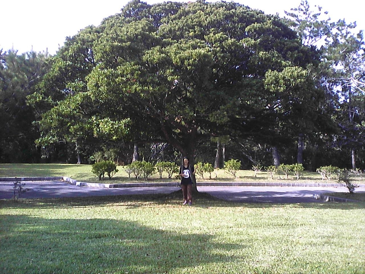 d0123793_12464742.jpg