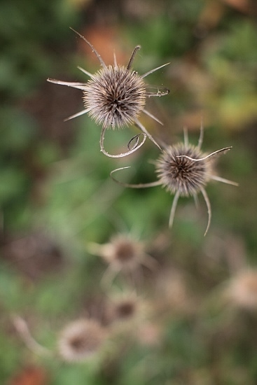 e0209997_20491139.jpg
