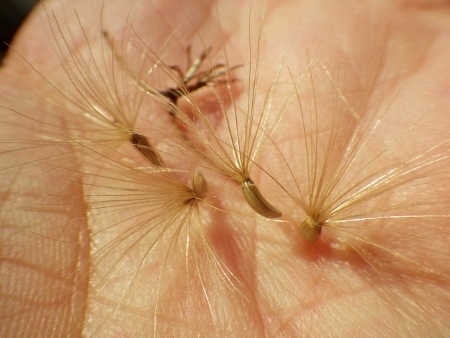 a0125598_21442637.jpg