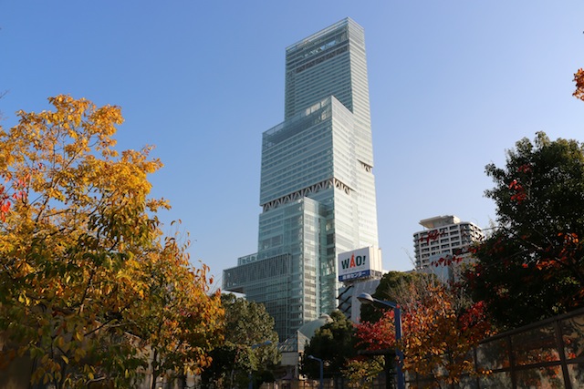 c0306400_101416.jpg
