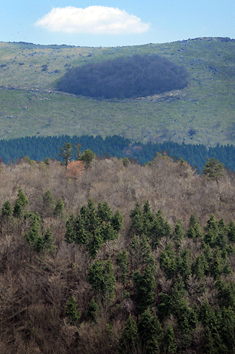 c0168815_00544707.gif