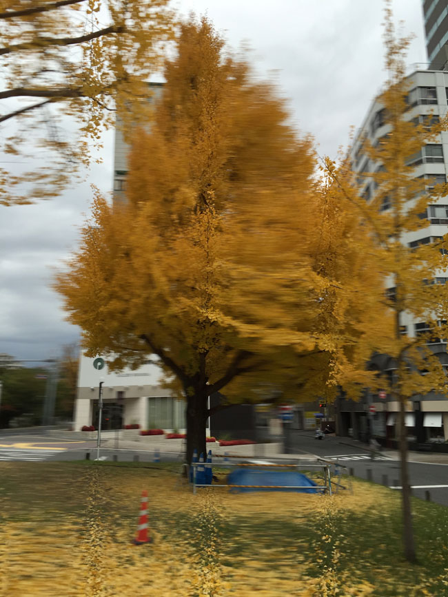 c0064025_2235317.jpg