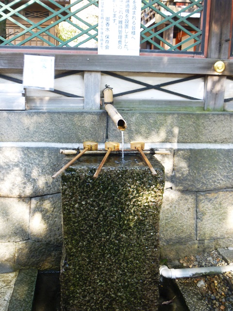 d0137326_0162544.jpg