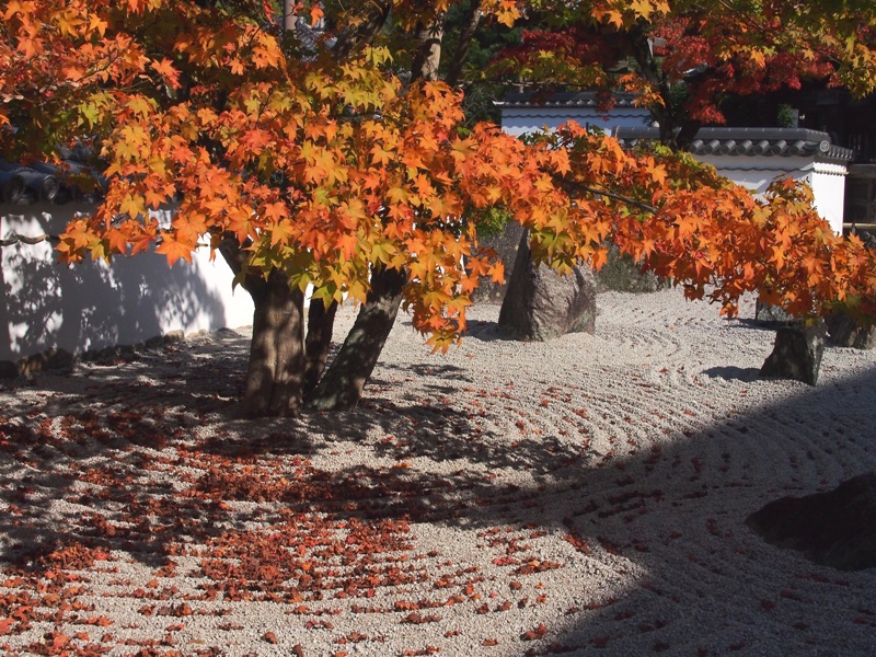 c0110832_1131829.jpg