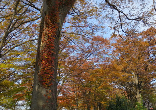 b0178339_08112889.jpg