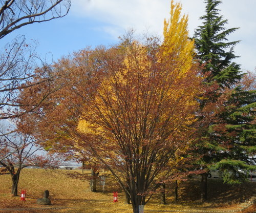 b0178339_08114570.jpg