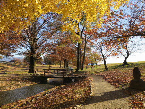 b0178339_08175869.jpg
