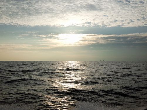 e0007544_8564479.jpg