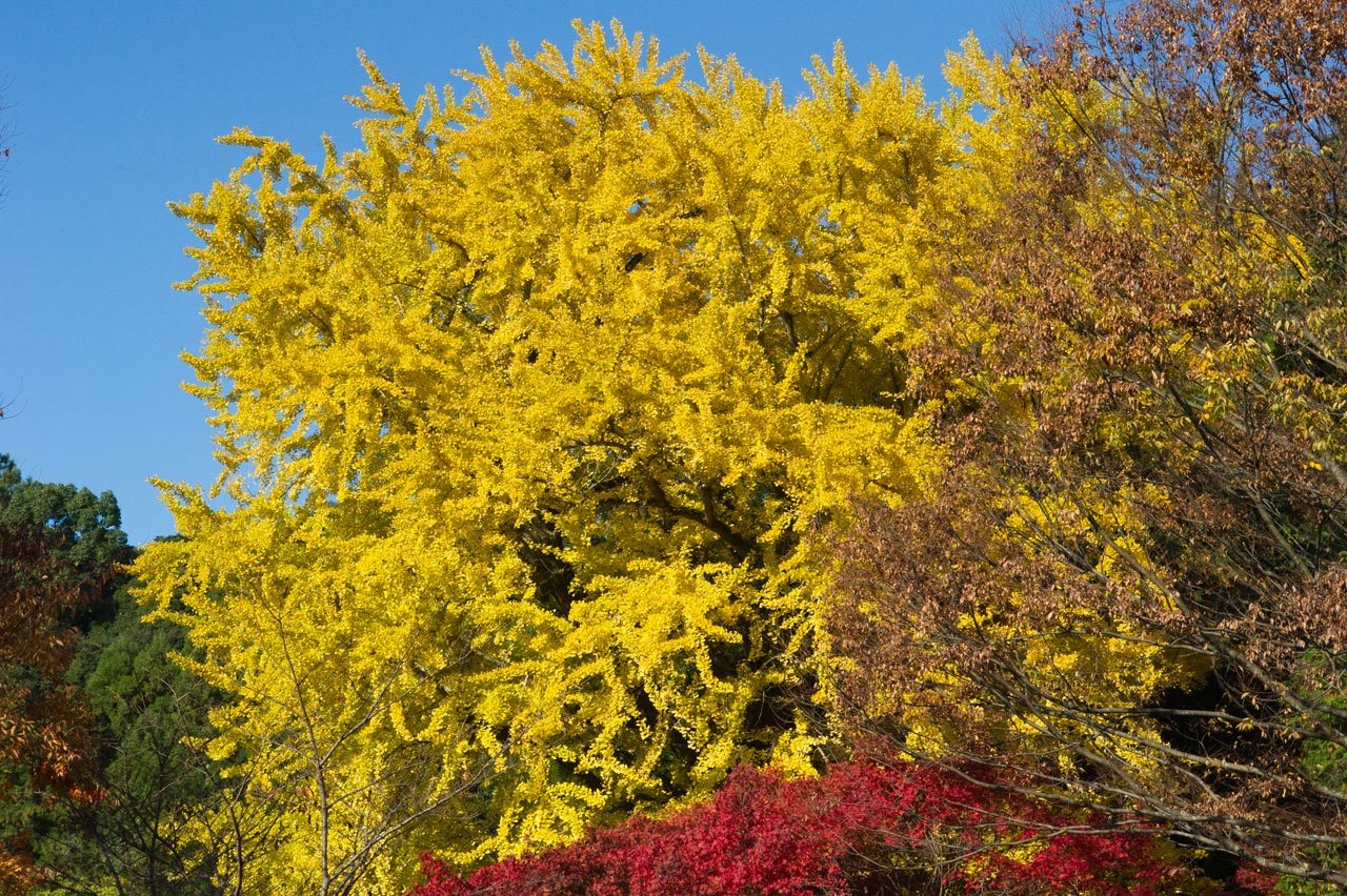 b0023047_05044892.jpg