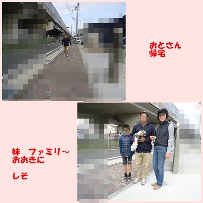 b0306158_15083646.jpg