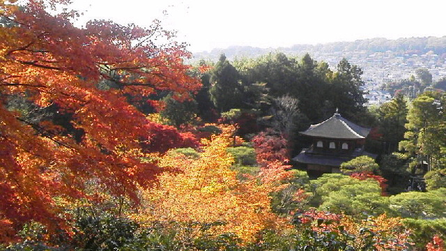 c0018666_22343866.jpg