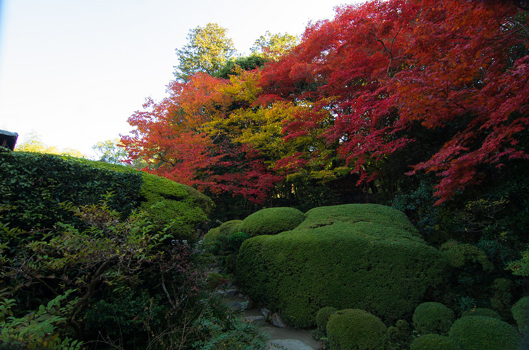 f0303870_23322100.jpg