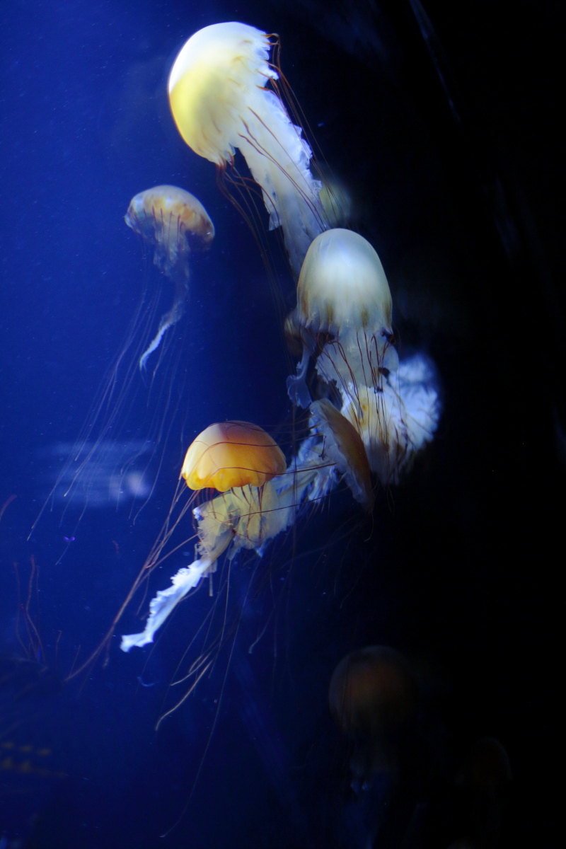 c0268775_07283917.jpg