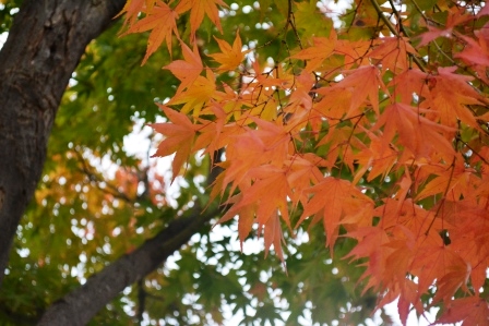 f0215475_0133212.jpg