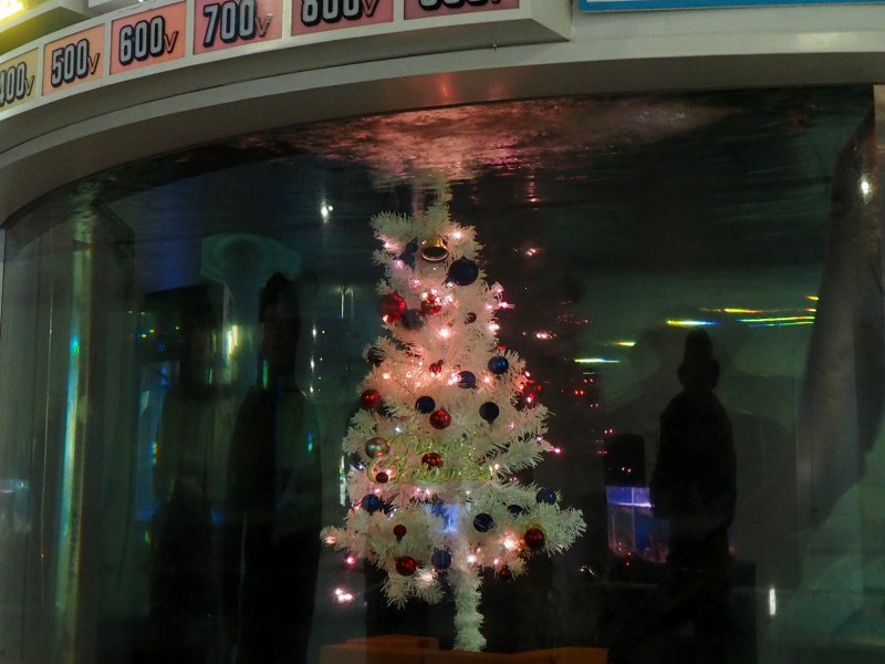 c0183777_137767.jpg