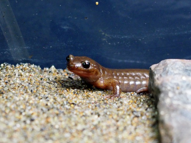 c0183777_9121474.jpg