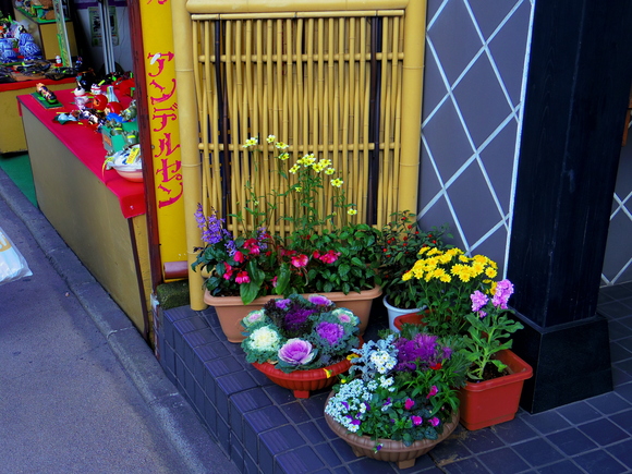 a0152078_13134764.jpg