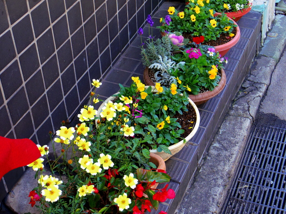 a0152078_1383323.jpg