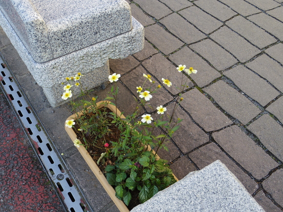 a0152078_1392346.jpg