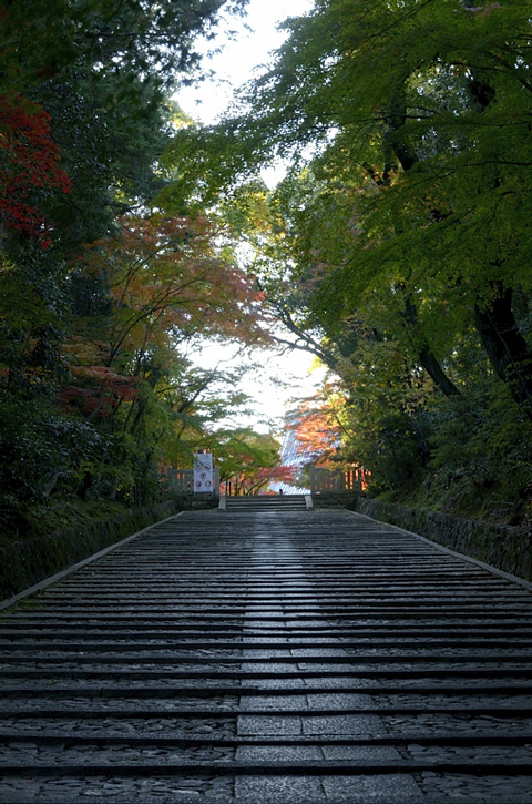 f0108478_20371771.jpg