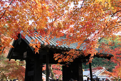 c0152779_152594.jpg