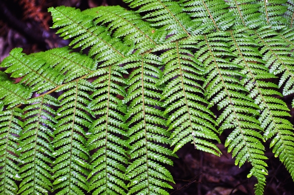 c0220084_22502098.jpg