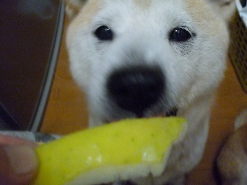 c0123890_218450.jpg