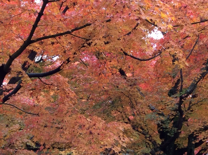 f0268294_21210829.jpg