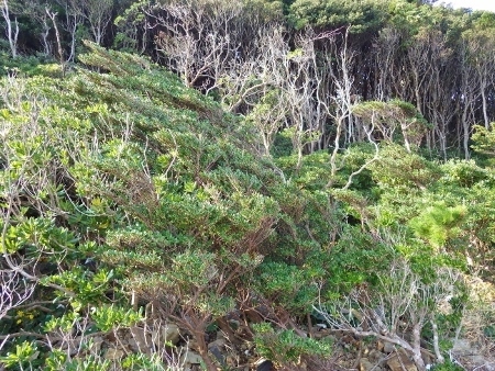 a0125598_21235410.jpg