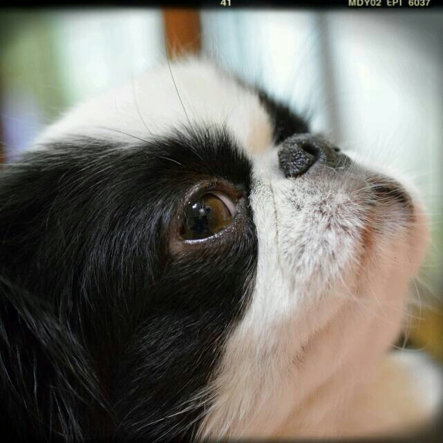 a0155999_22330005.jpg