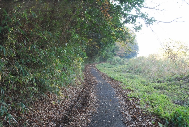 e0025300_2132244.jpg