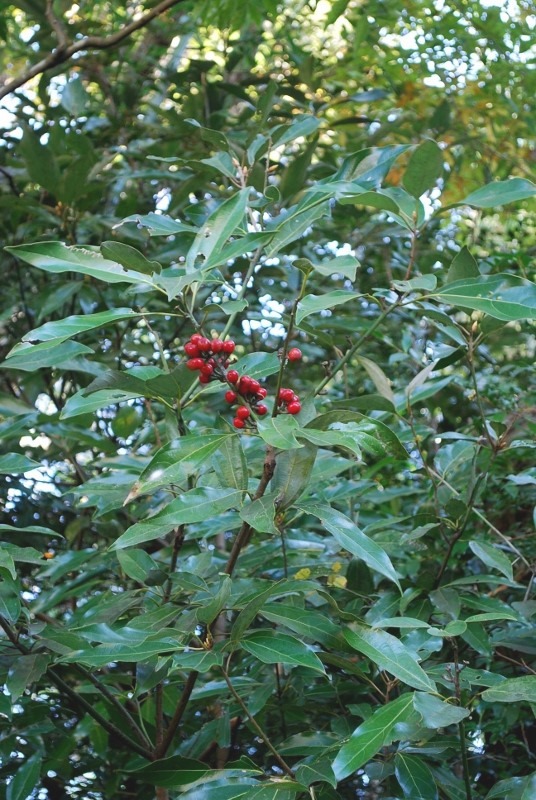 e0025300_21362499.jpg