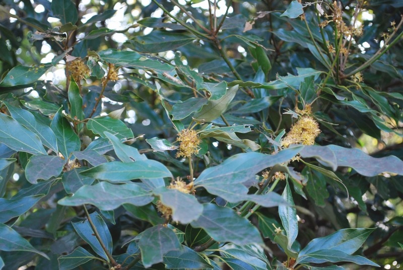 e0025300_2141313.jpg